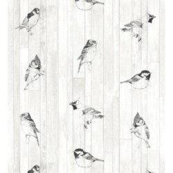 Papel pintado Tropic Birds 677254