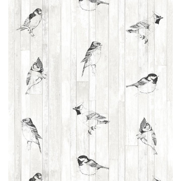 Papel pintado pájaros tropicales blanco y negro - Tropic Birds 677254