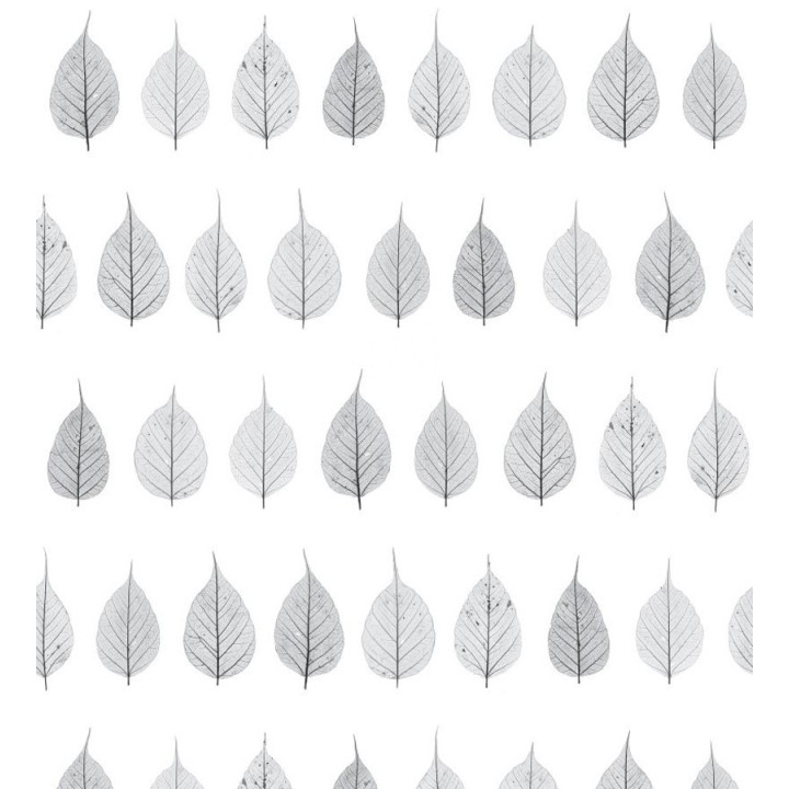 Papel pintado hojas pequeñas grises fondo blanco estilo minimalista - Danish Fall 677264