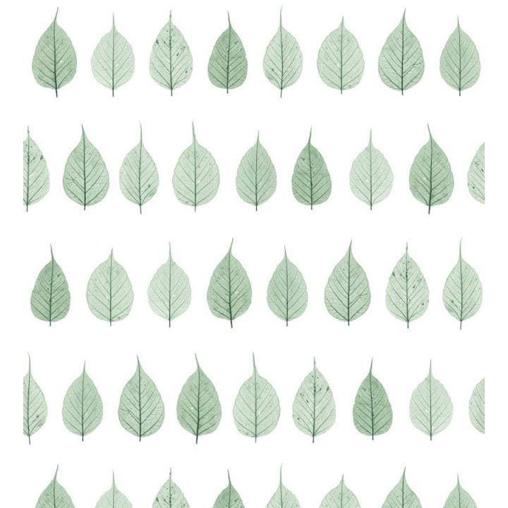 Papel pintado hojas pequeñas verdes fondo blanco estilo minimalista - Danish Fall 677265
