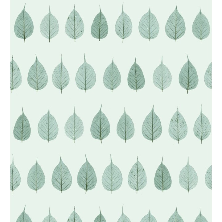 Papel pintado hojas pequeñas verdes fondo verde claro estilo minimalista - Danish Fall 677266