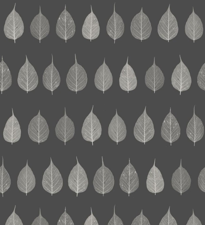 Papel pintado hojas pequeñas grises fondo negro estilo minimalista - Danish Fall 677267