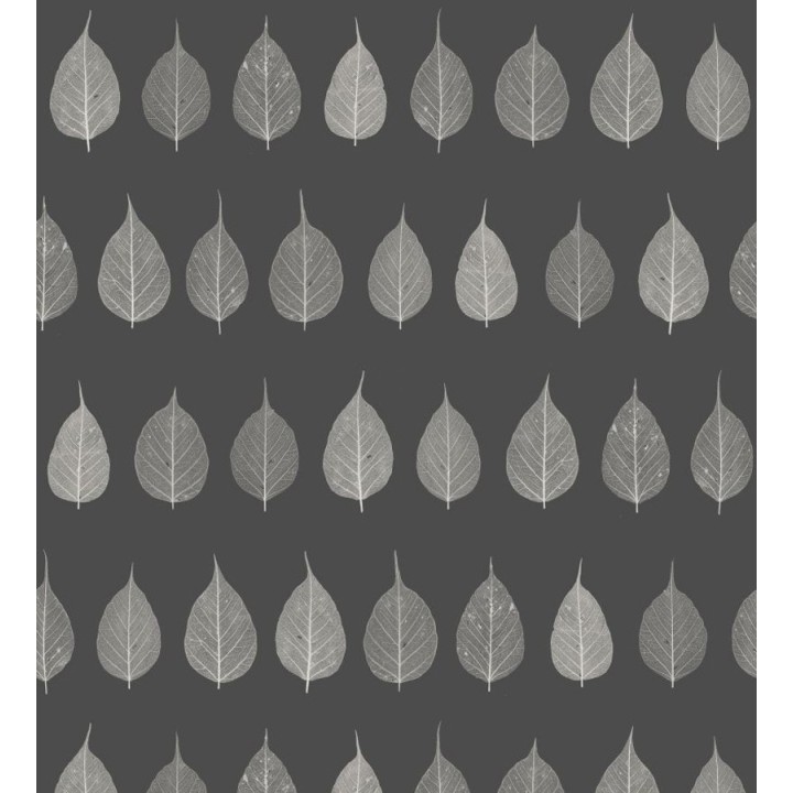 Papel pintado hojas pequeñas grises fondo negro estilo minimalista - Danish Fall 677267