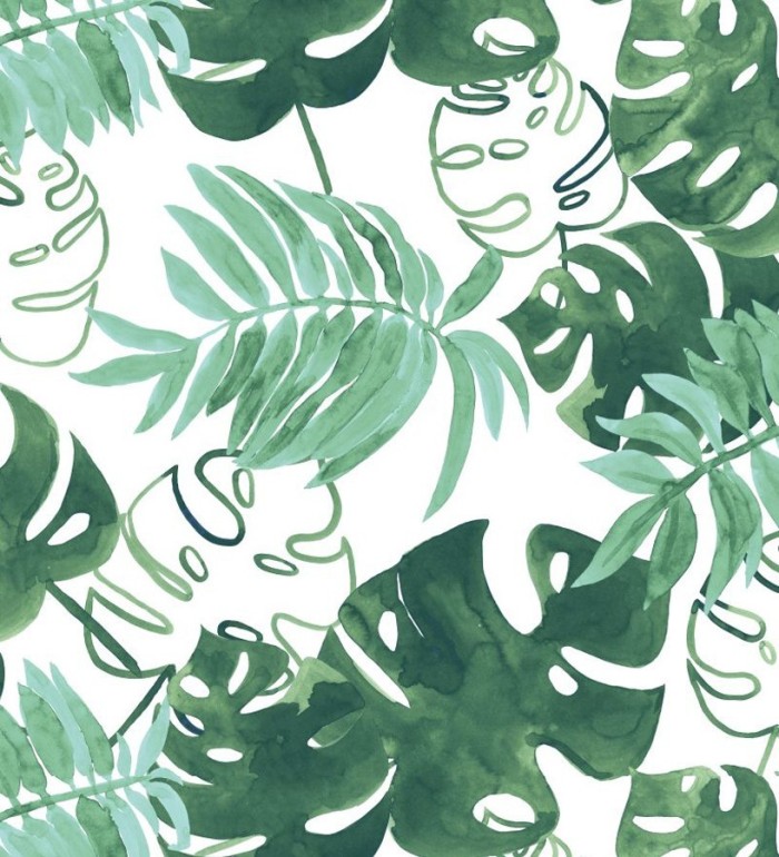 Papel pintado hojas tropicales fondo blanco - Paramaribo 677288