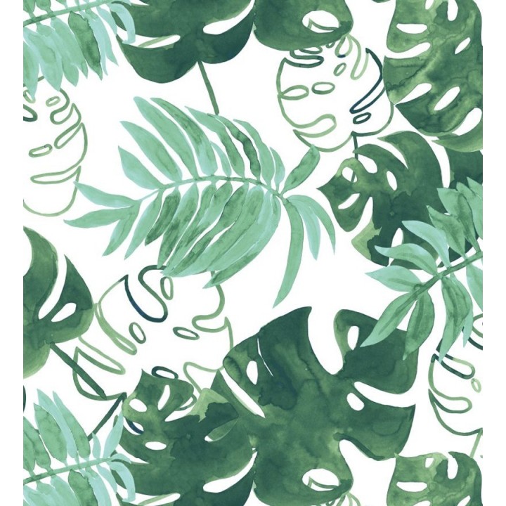 Papel pintado hojas tropicales fondo blanco - Paramaribo 677288