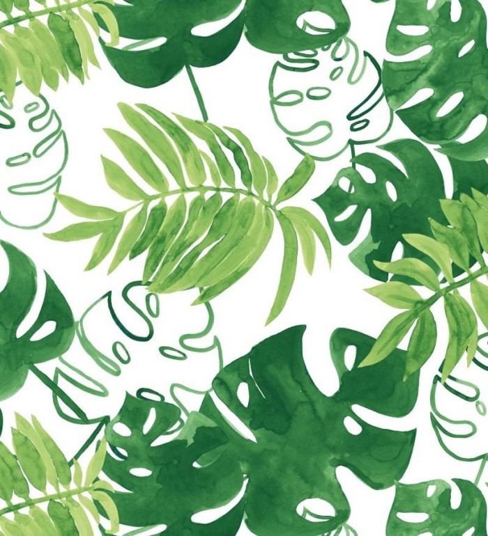 Papel pintado hojas tropicales fondo blanco - Paramaribo 677289