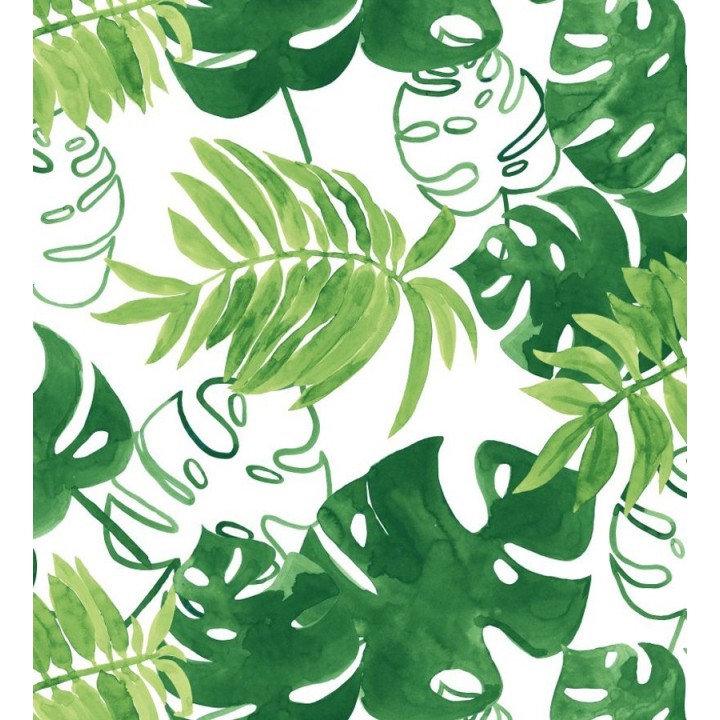 Papel pintado hojas tropicales fondo blanco - Paramaribo 677289