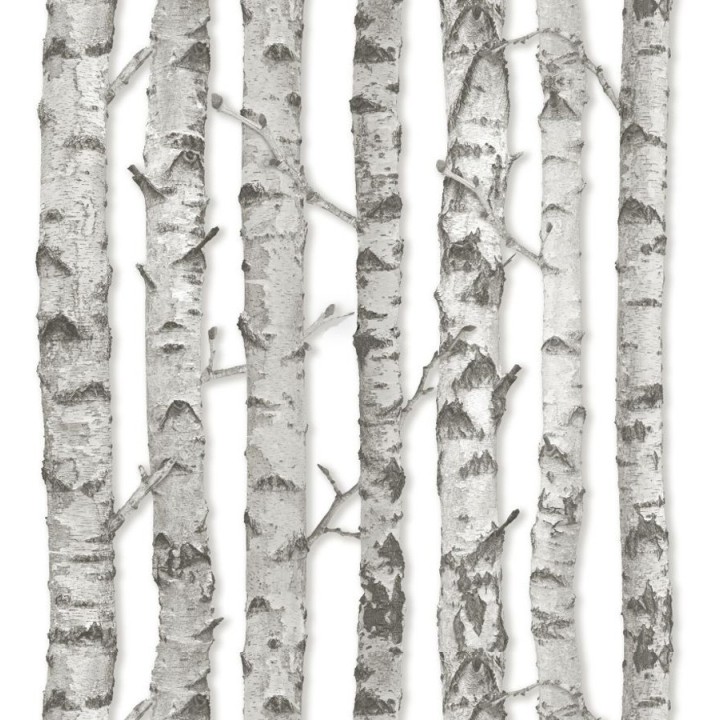 Papel pintado troncos de árboles estilo nórdico - Baltic Hills 677291