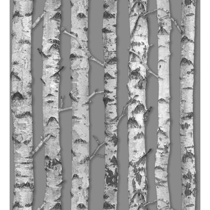 Papel pintado troncos de árboles estilo nórdico - Baltic Hills 677294