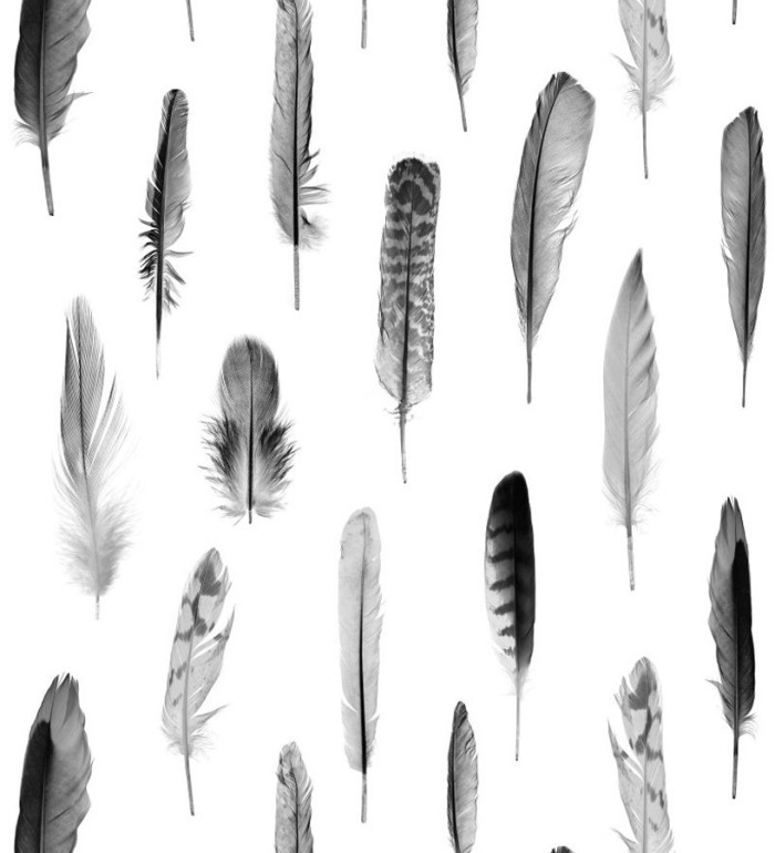 Papel pintado plumas grises fondo blanco - Bohemian Rain 677299