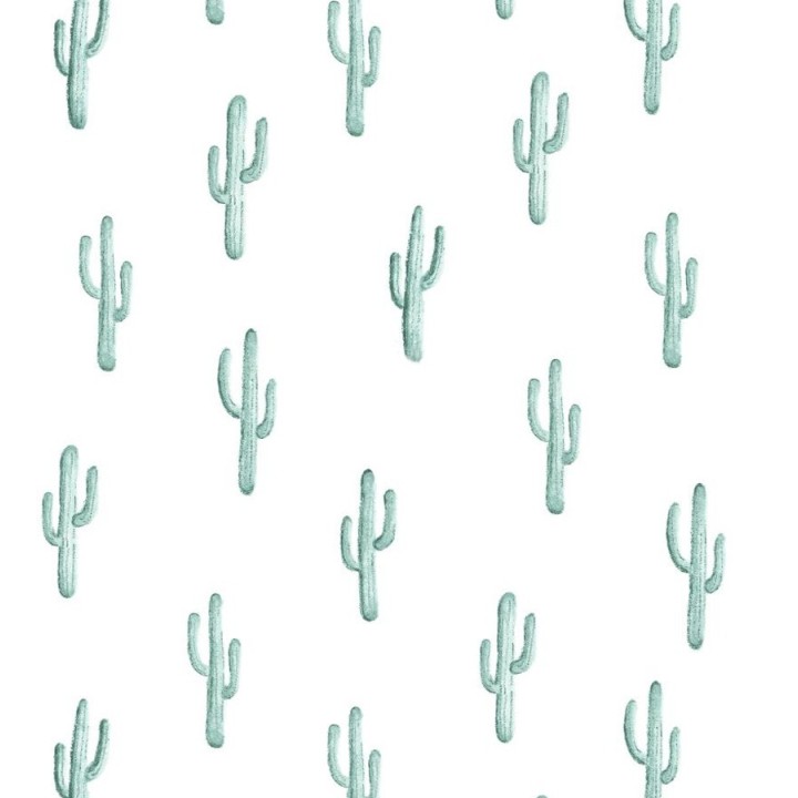 Papel pintado plantas de cactus - Western Land 677300