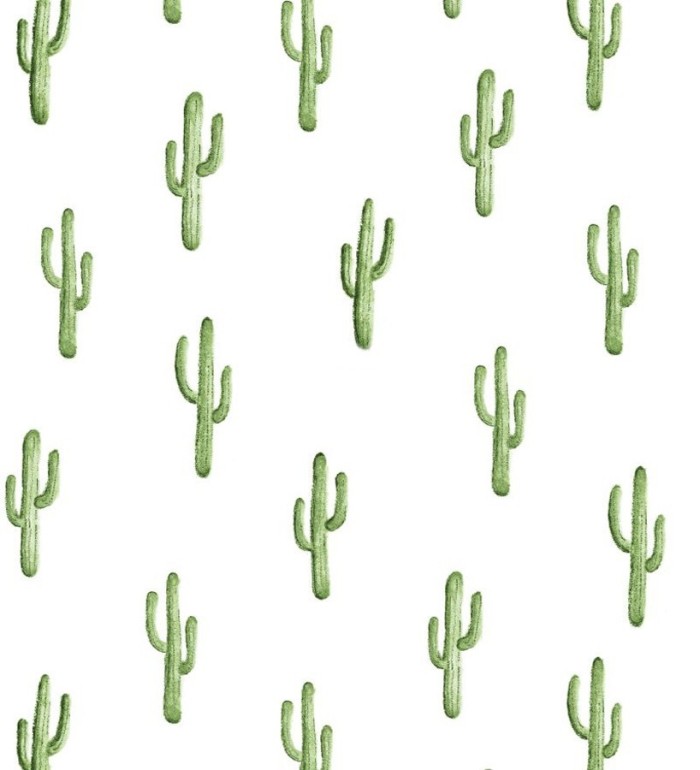 Papel pintado plantas de cactus - Western Land 677301