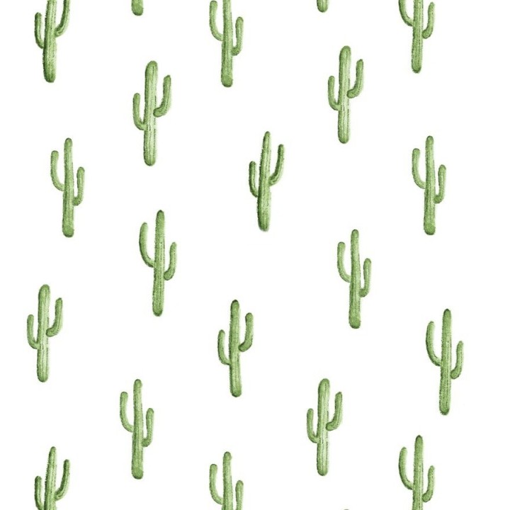 Papel pintado plantas de cactus - Western Land 677301