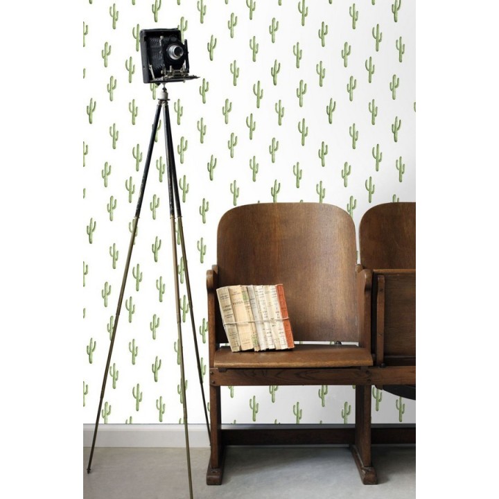 Papel pintado plantas de cactus - Western Land 677301