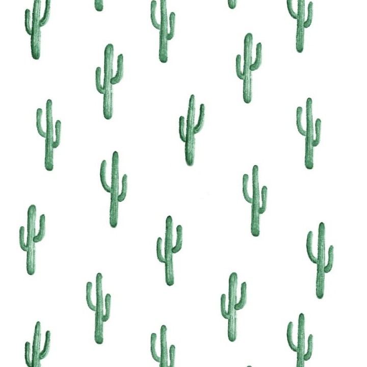 Papel pintado plantas de cactus - Western Land 677302