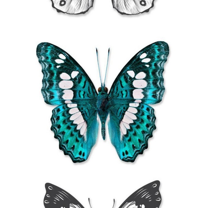 Papel pintado mariposas grandes estilo tropical - Pretty Butterfly 677315