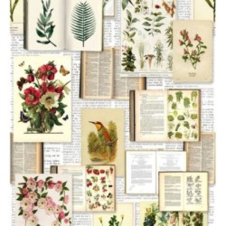 Papel pintado Plants Book 677316
