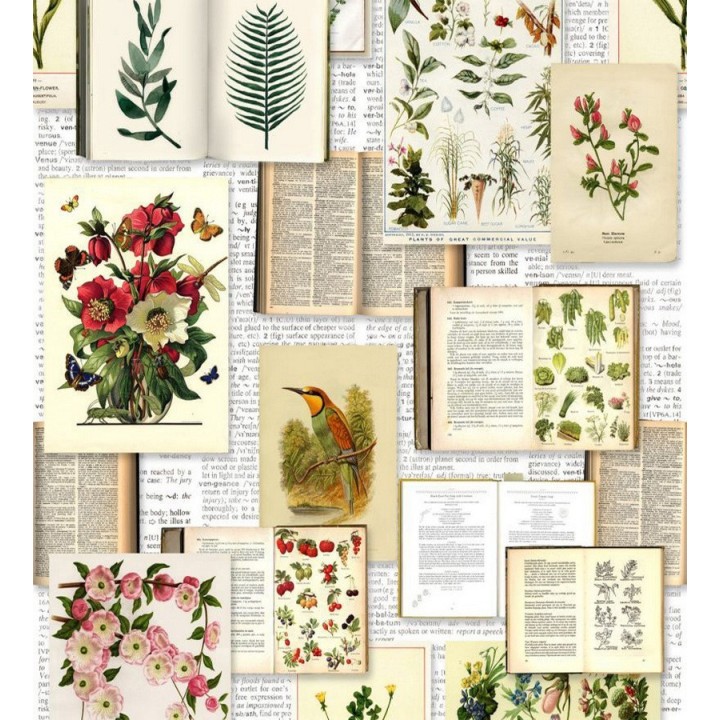 Papel pintado libro de colección de plantas - Plants Book 677316