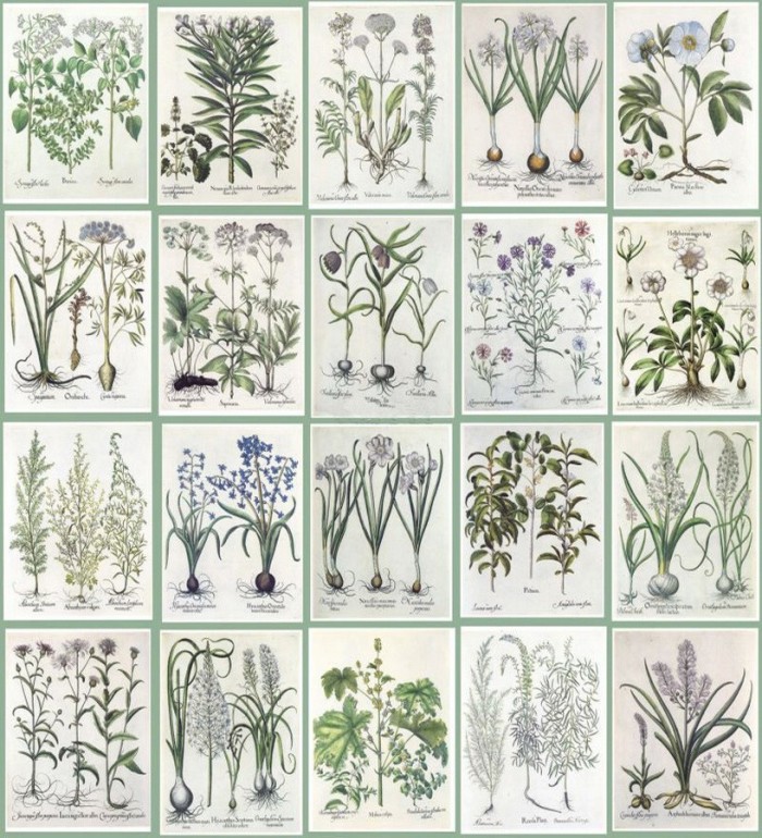 Papel pintado Legend Nature 677317