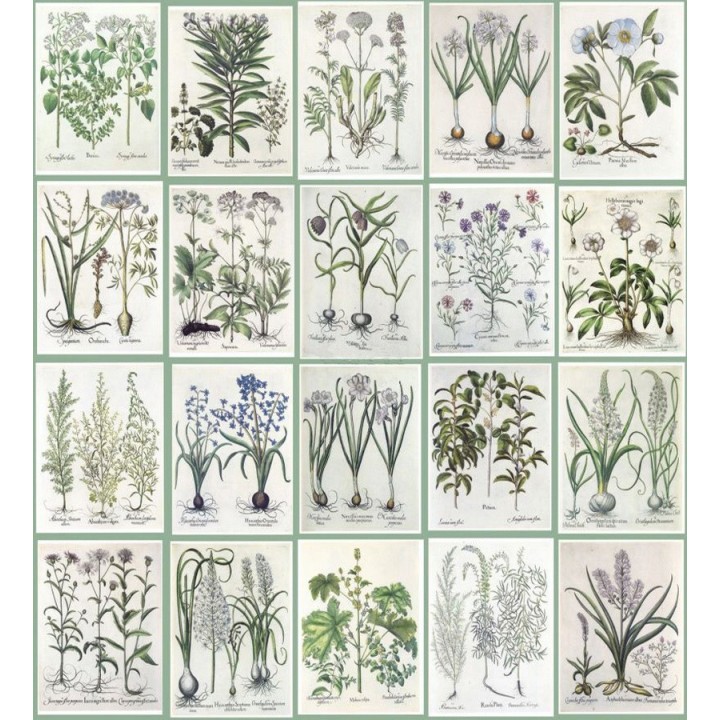 Papel pintado Legend Nature 677317