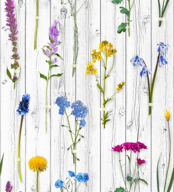 Papel pintado Fleurs du Jardin 677319