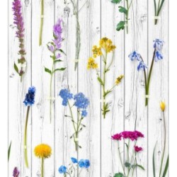 Papel pintado Fleurs du Jardin 677319