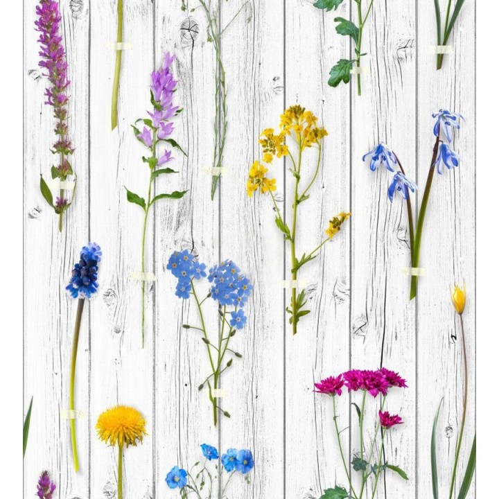 Papel pintado Fleurs du Jardin 677319