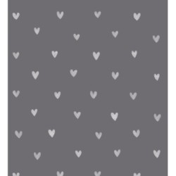 Papel pintado Magic Hearts 677328