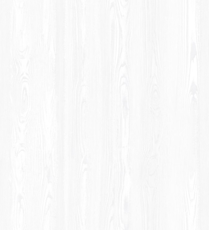 Papel pintado madera veteada blanca - Haley Forest 677365