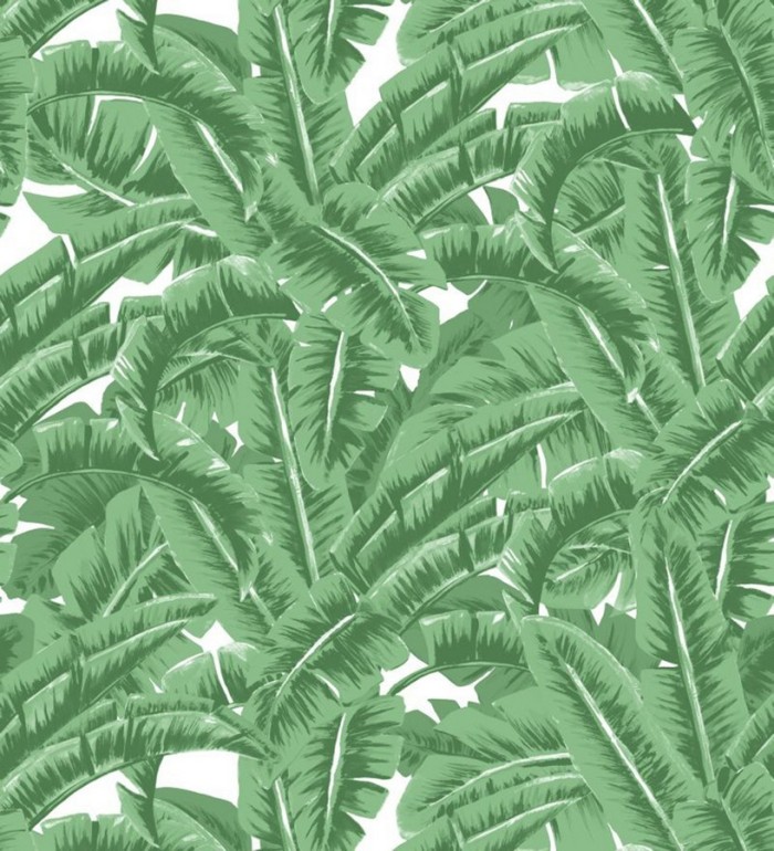 Papel pintado hojas de jungla estilo tropical - Paipe Jungle 679027