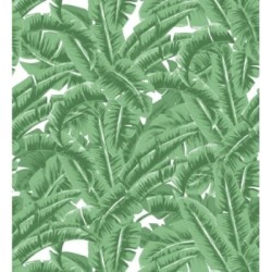 Papel pintado Paipe Jungle 679027