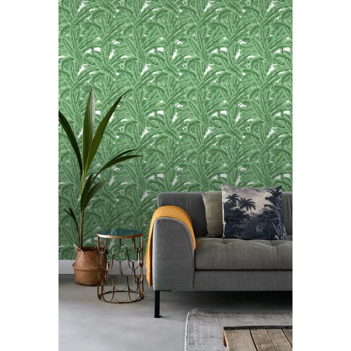 Papel pintado hojas de jungla estilo tropical - Paipe Jungle 679027