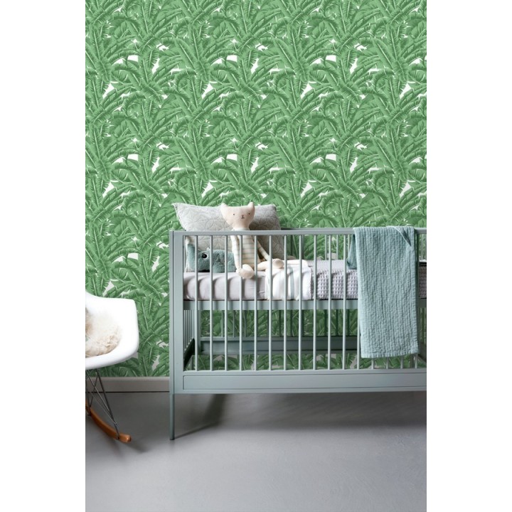Papel pintado hojas de jungla estilo tropical - Paipe Jungle 679027