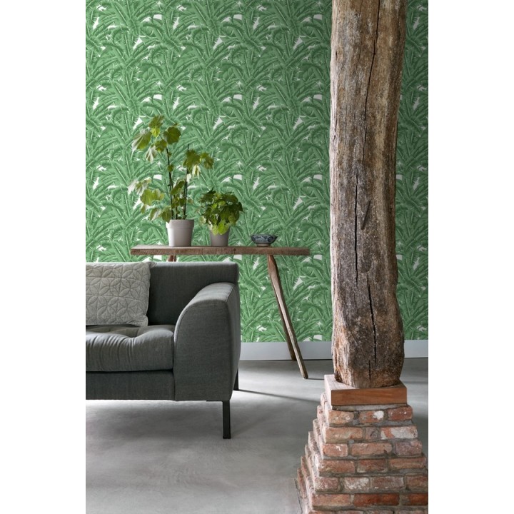 Papel pintado hojas de jungla estilo tropical - Paipe Jungle 679027