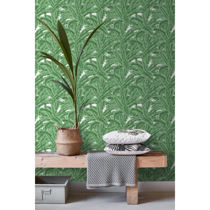 Papel pintado hojas de jungla estilo tropical - Paipe Jungle 679027