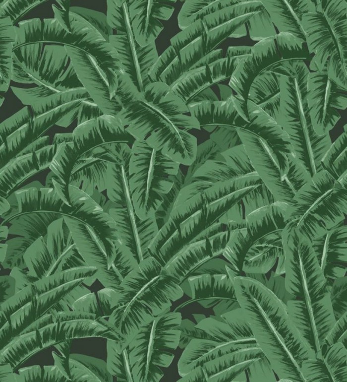 Papel pintado hojas de jungla estilo tropical - Paipe Jungle 679028