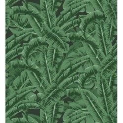 Papel pintado Paipe Jungle 679028