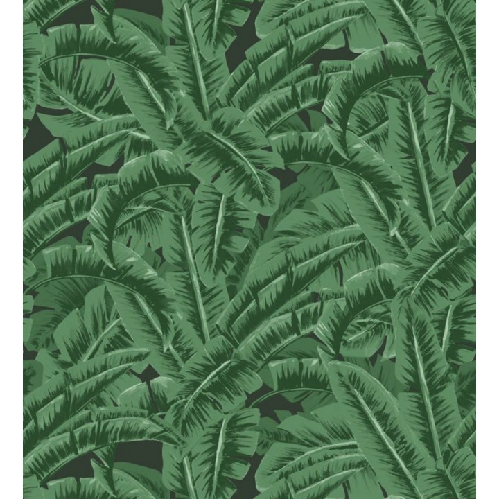 Papel pintado hojas de jungla estilo tropical - Paipe Jungle 679028