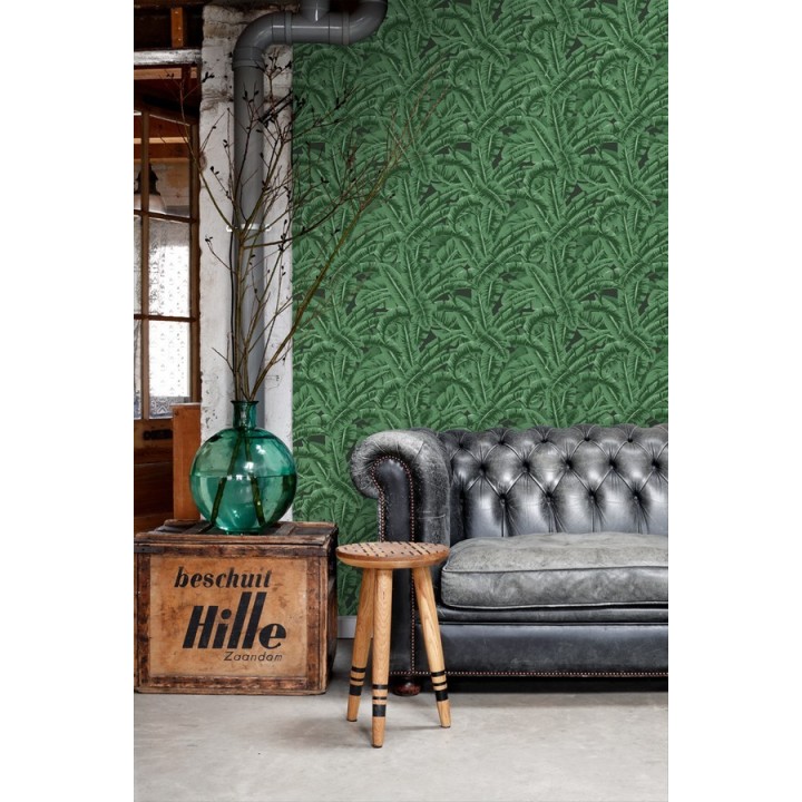 Papel pintado hojas de jungla estilo tropical - Paipe Jungle 679028