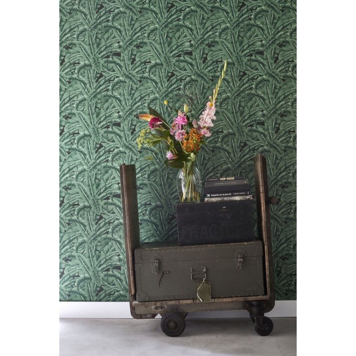 Papel pintado hojas de jungla estilo tropical - Paipe Jungle 679028