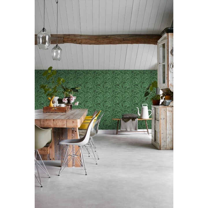 Papel pintado hojas de jungla estilo tropical - Paipe Jungle 679028