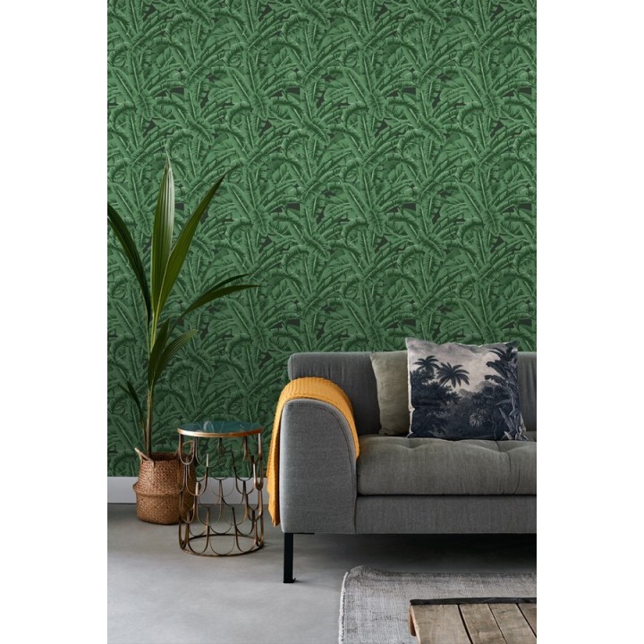 Papel pintado hojas de jungla estilo tropical - Paipe Jungle 679028