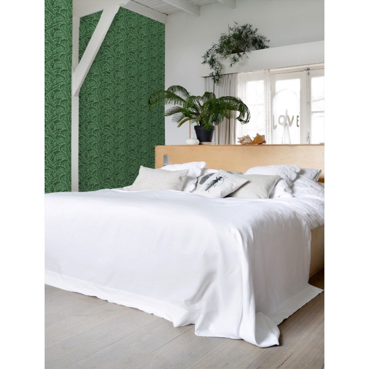 Papel pintado hojas de jungla estilo tropical - Paipe Jungle 679028