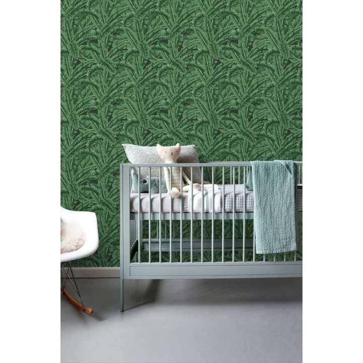 Papel pintado hojas de jungla estilo tropical - Paipe Jungle 679028