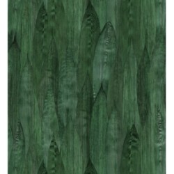 Papel pintado Indira Jungle 679031