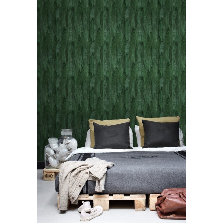 Papel pintado hojas de plátano estilo tropical - Indira Jungle 679031