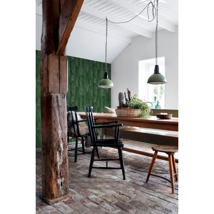 Papel pintado hojas de plátano estilo tropical - Indira Jungle 679031