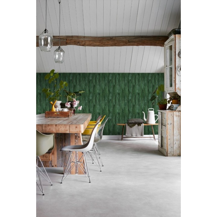 Papel pintado hojas de plátano estilo tropical - Indira Jungle 679031