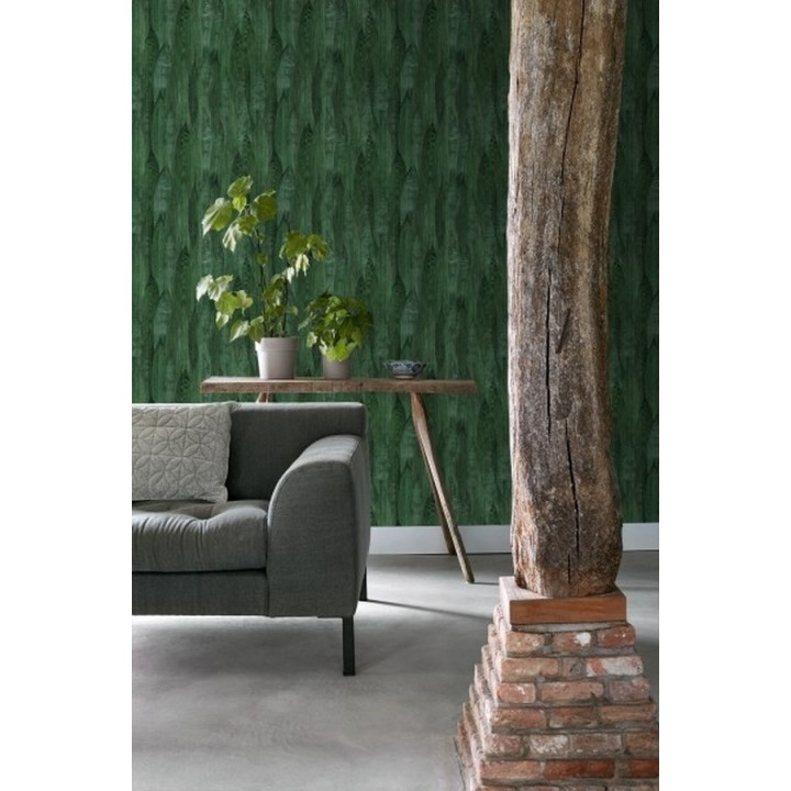 Papel pintado hojas de plátano estilo tropical - Indira Jungle 679031