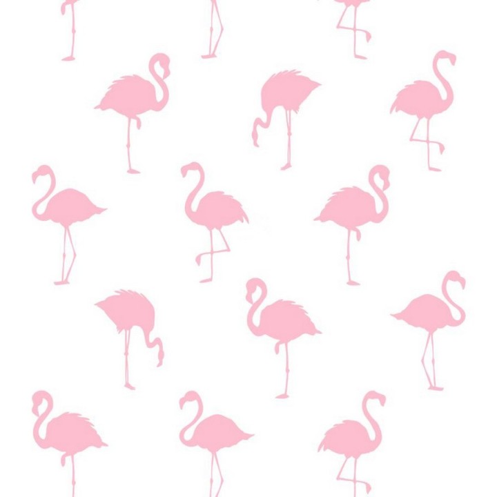 Papel pintado flamencos rosas fondo blanco - Miss Flamingo 679035